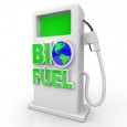 Het  woord  ‘bio-energie’  is  een  overkoepelende  benaming  voor  alle  soorten  energie  die  worden gewonnen uit organisch materiaal. Dit materiaal wordt dan ook wel biomassa genoemd. Denk hierbij bijvoorbeeld  aan  koeienmest,  […]